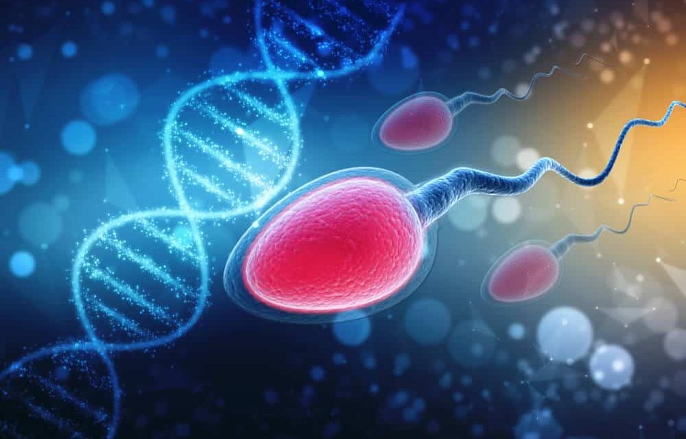 Sperm DNA Hasarı